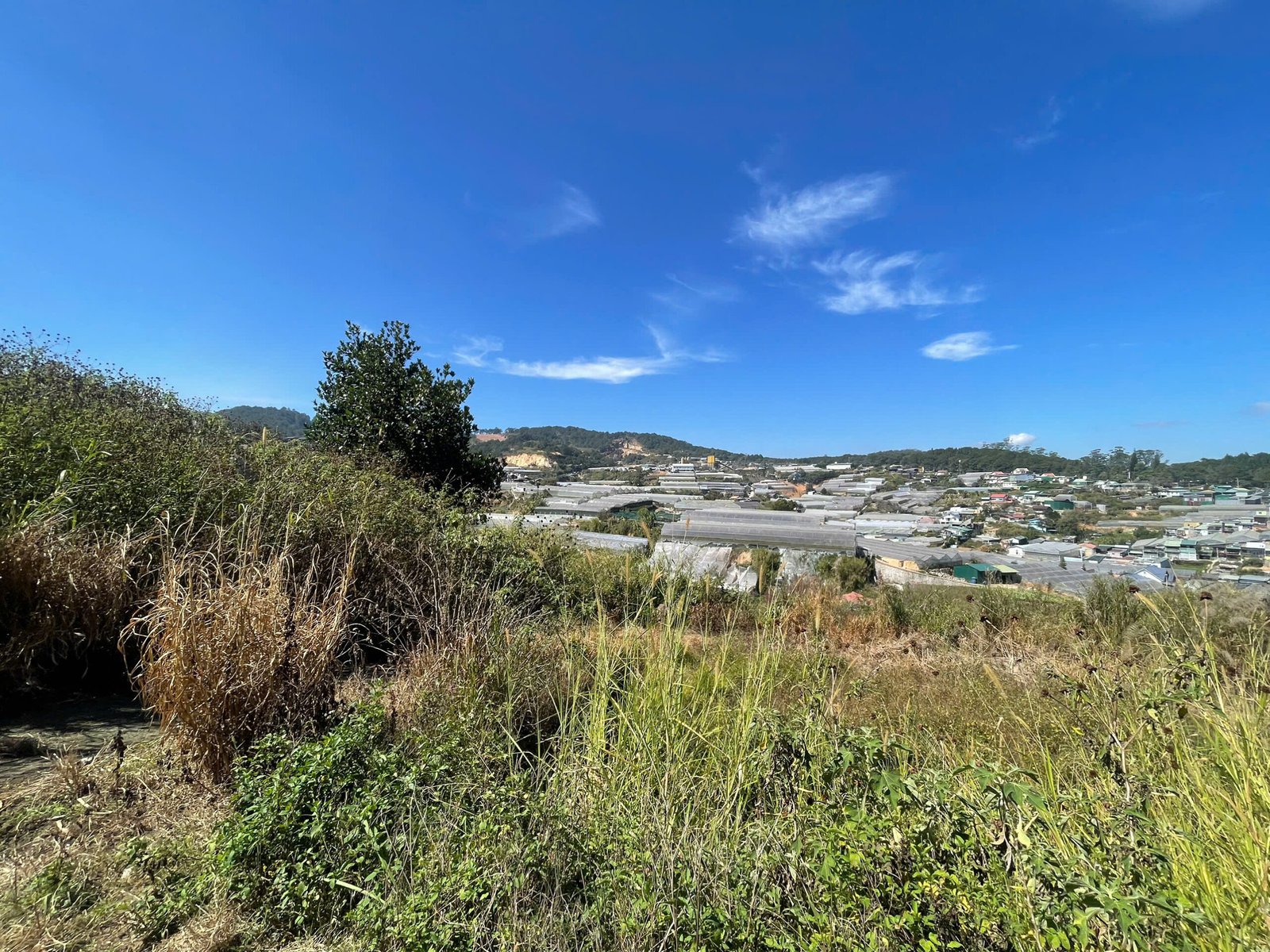 khu vực xung quanh dự án khu dân cư đồi an tôn đà lạt