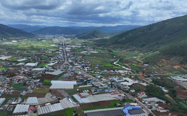 đức trọng lên phường