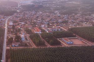 bụi đỏ sân bay long thành