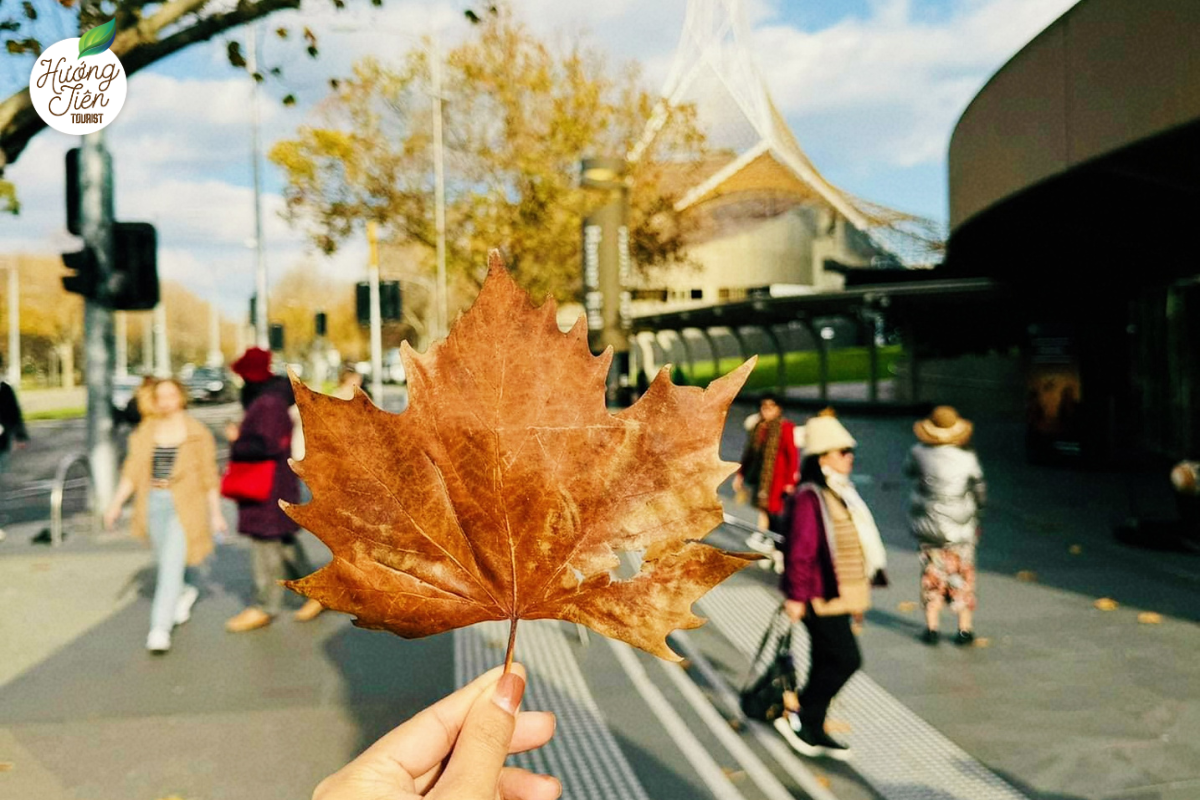 tour du lịch úc melbourne - sydney mùa thu