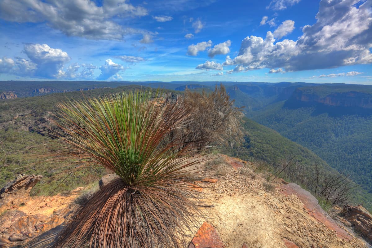 blue mountains úc