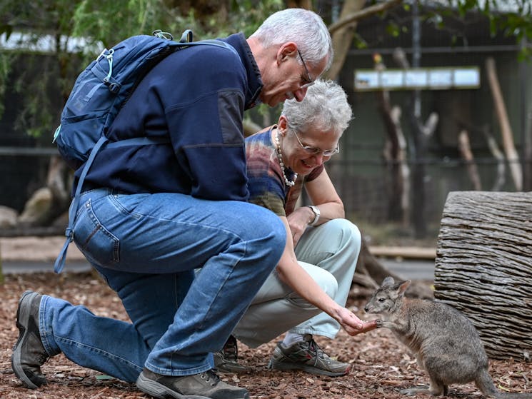 công viên wildlife park sydney