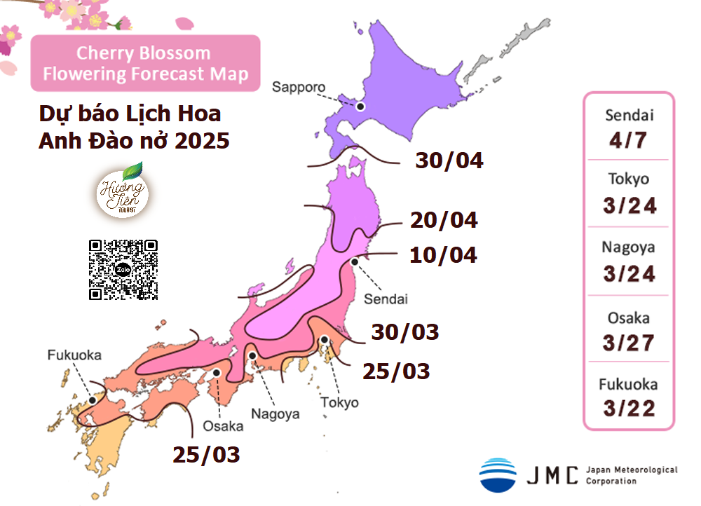 Dự Báo Lịch Hoa Anh Đào Nhật Bản 2025 – Mùa Hoa nở rộ