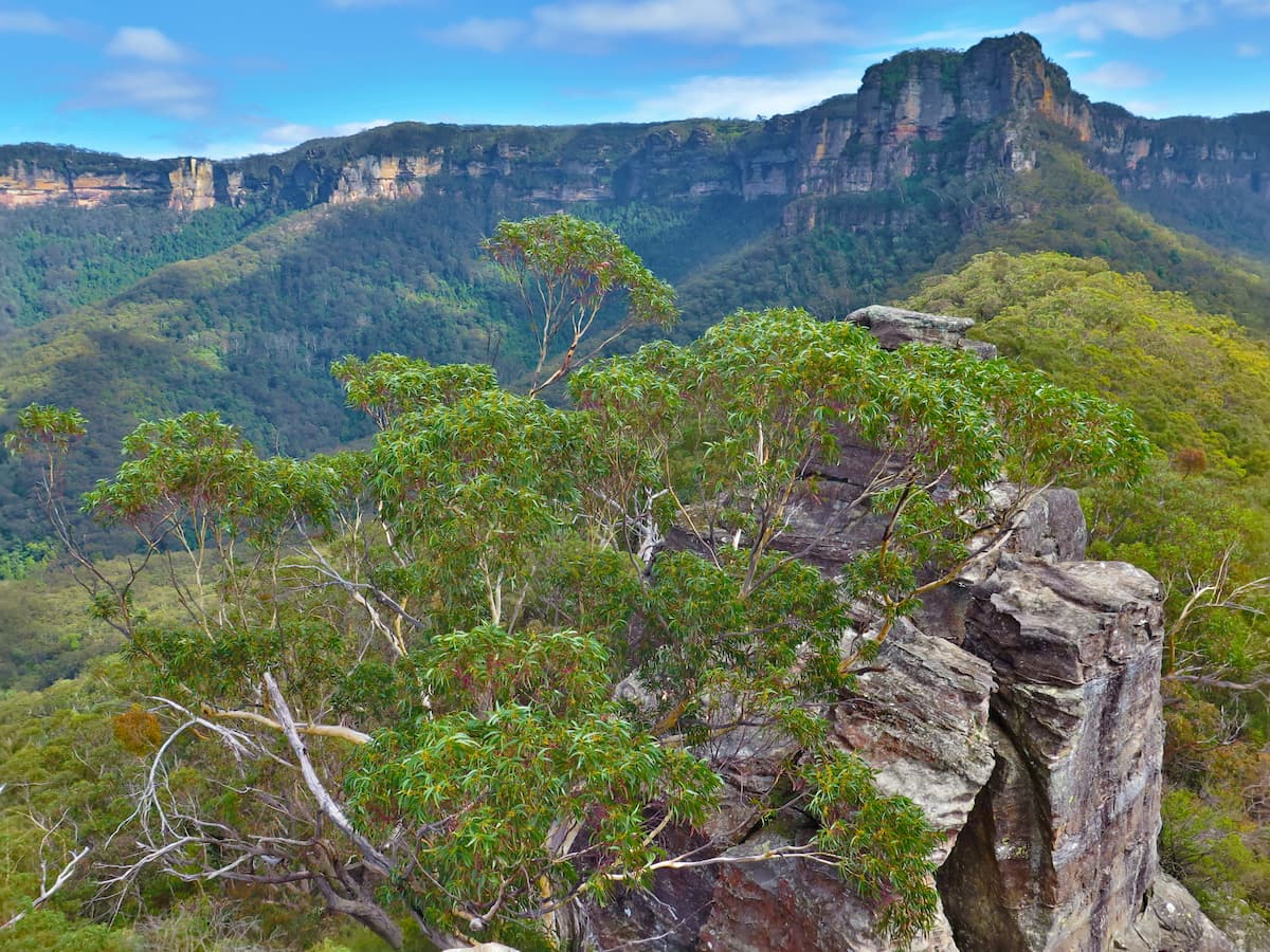 công viên quốc gia blue mountains úc