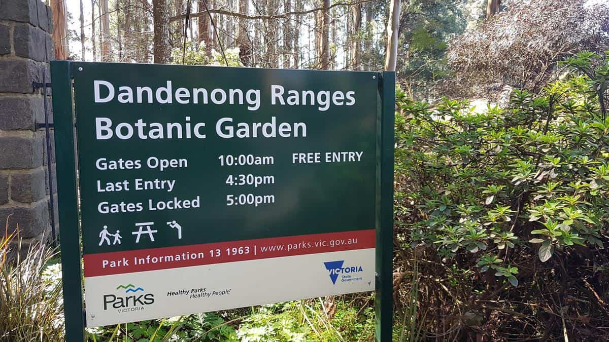 National Rhododendron Gardens ở Dandenong ranges