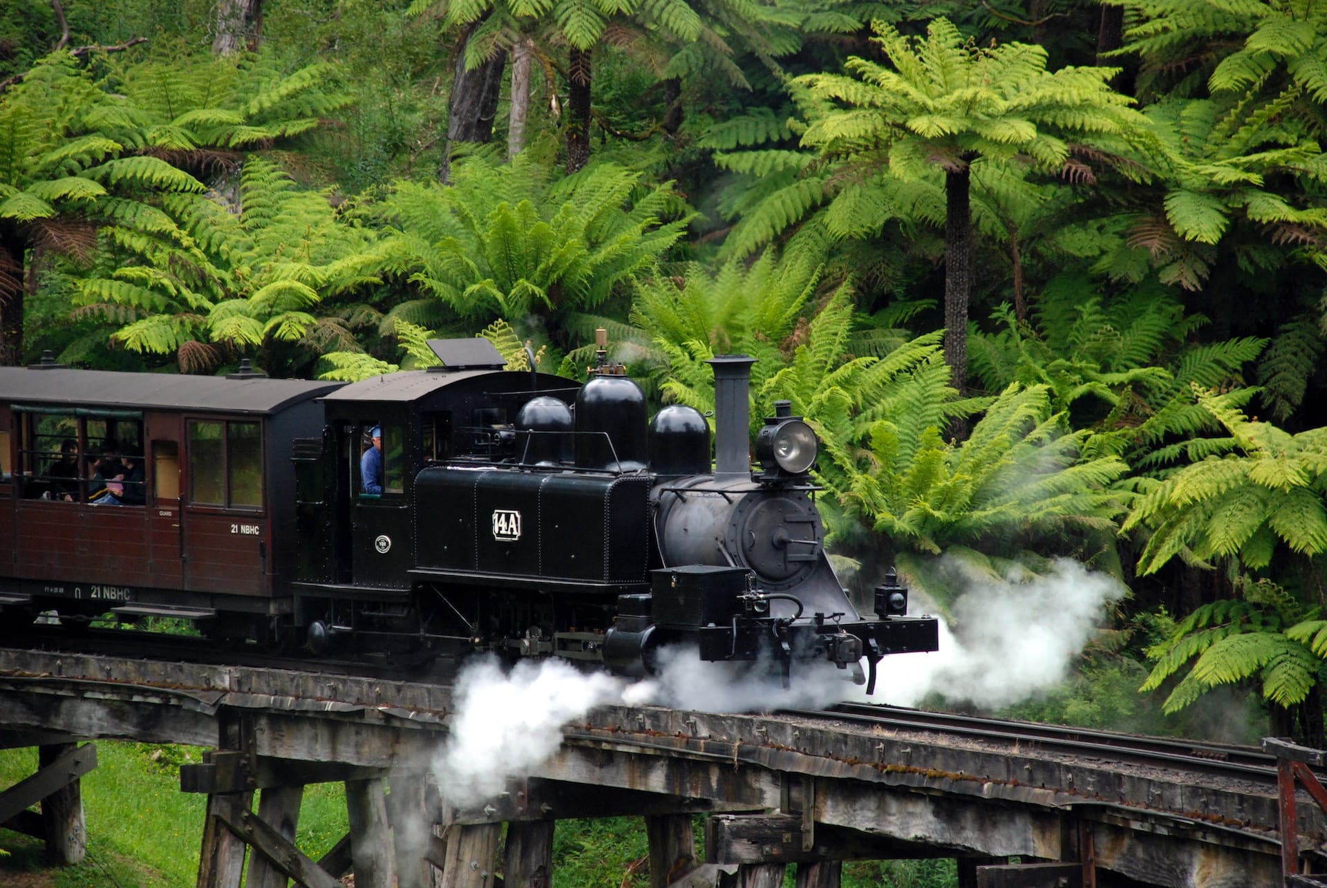 công viên quốc gia dandenong ranges