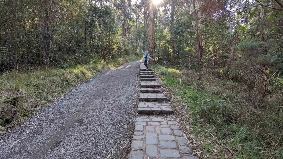 công viên dandenong ranges