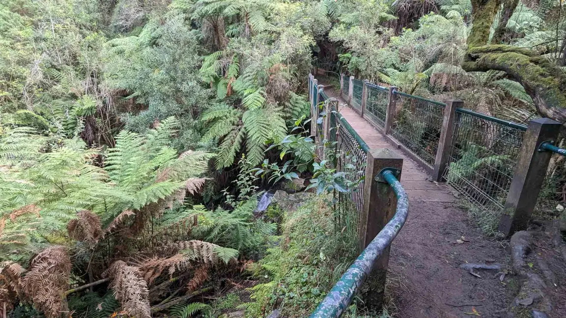 công viên dandenong ranges