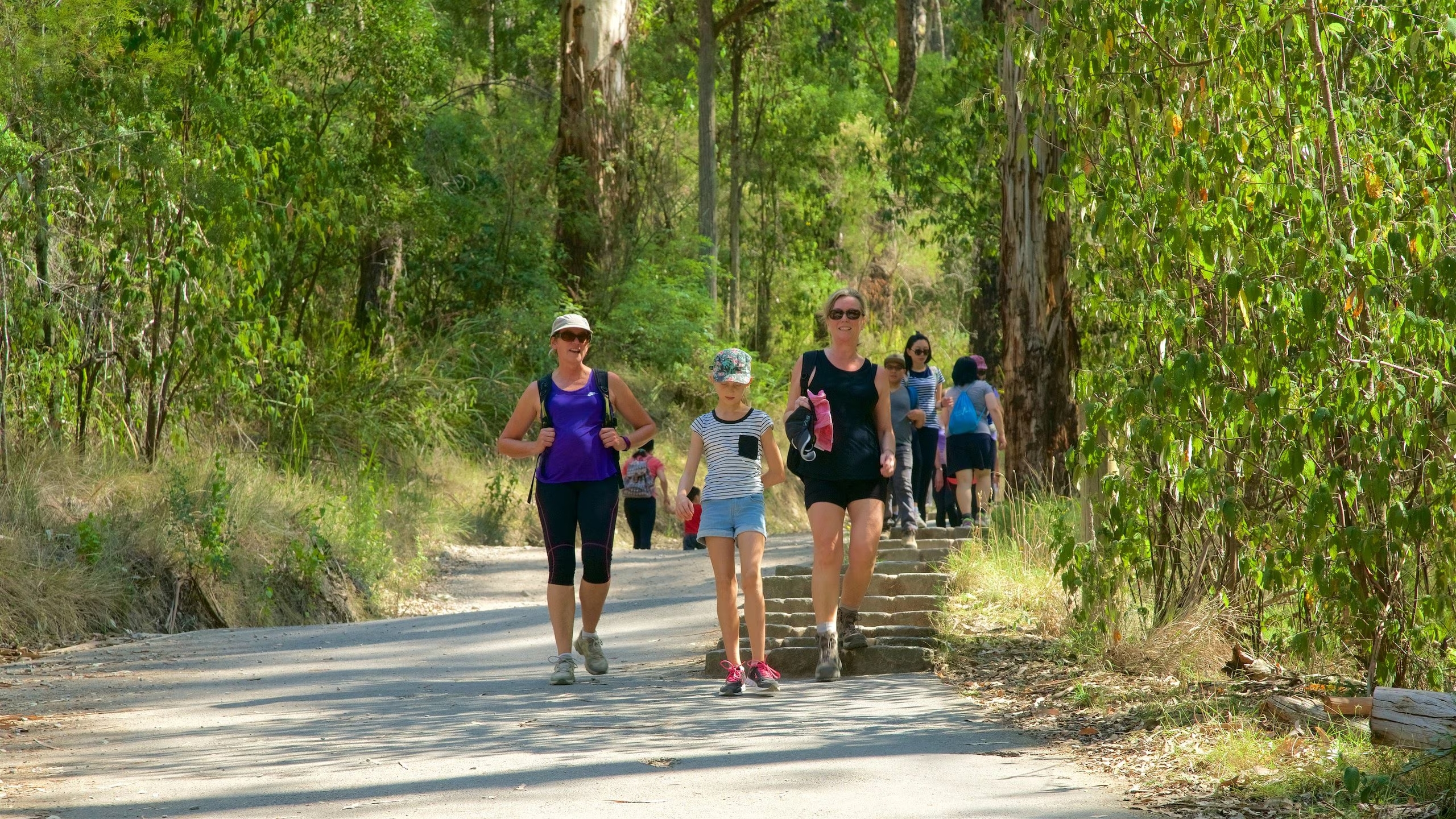 công viên dandenong ranges