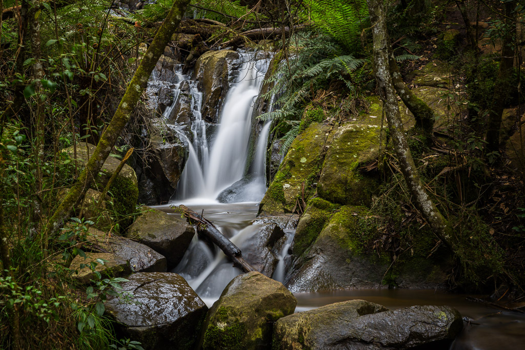 công viên dandenong ranges