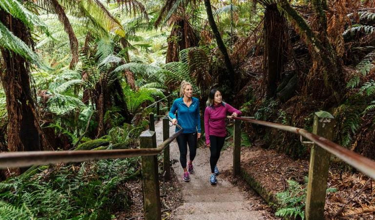 công viên dandenong ranges