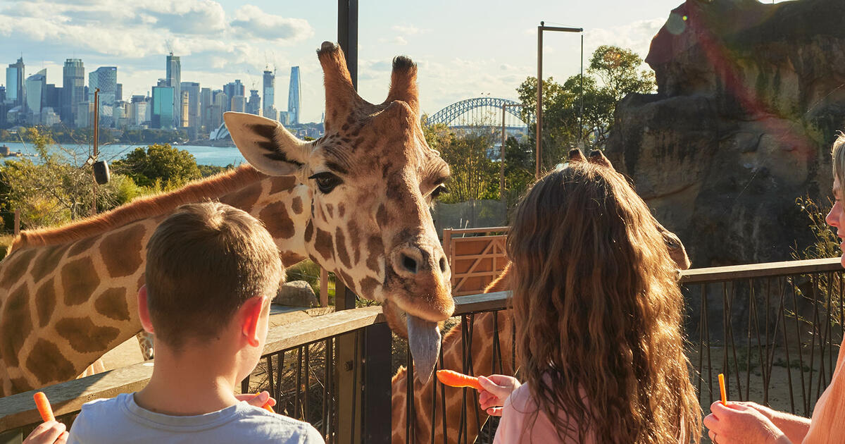 địa điểm tham quan ở sydney