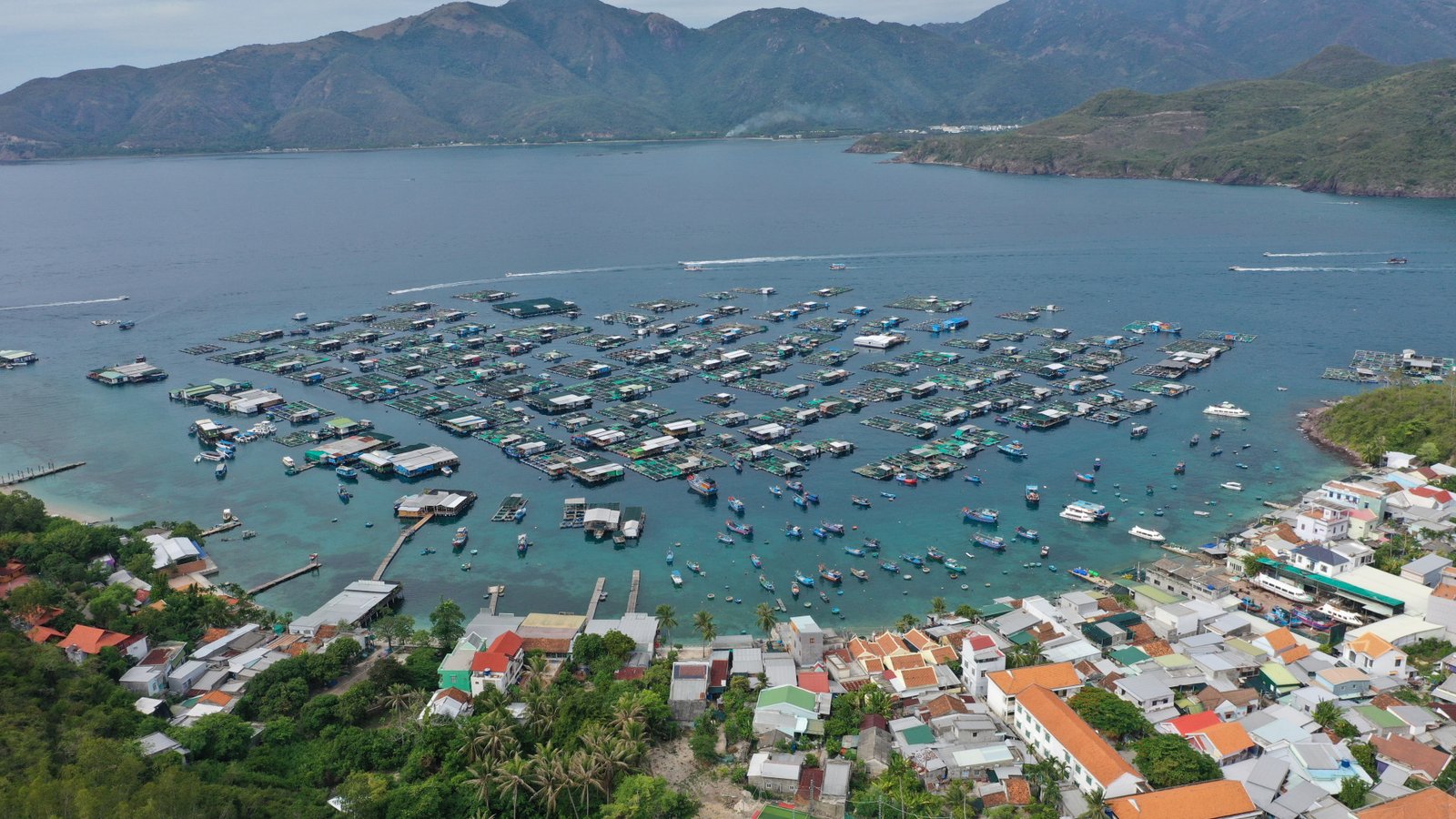 SW Property Vietnam