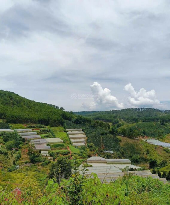 bán đất đường măng lin p7 đà lạt