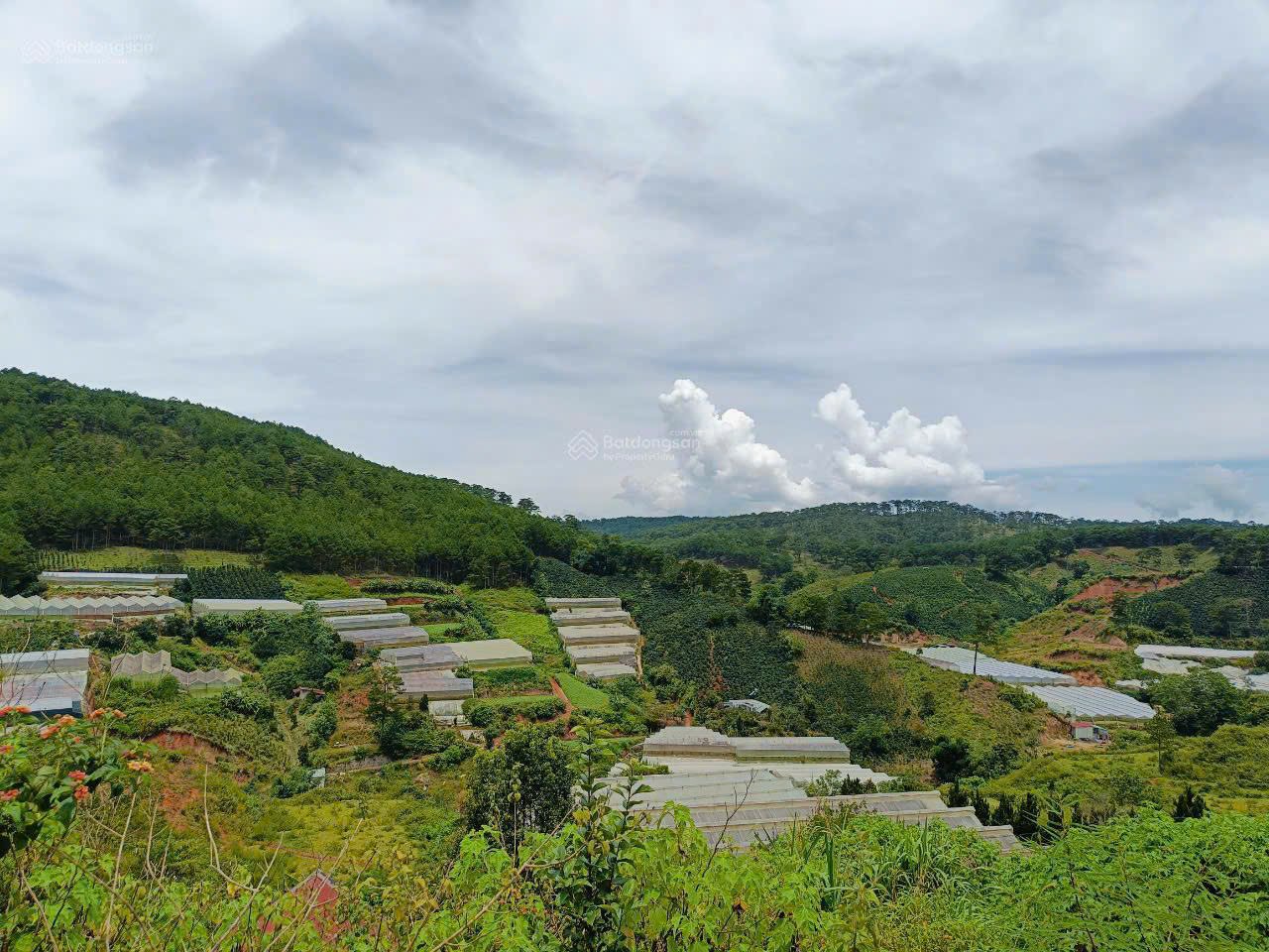 bán đất đường măng lin p7 đà lạt