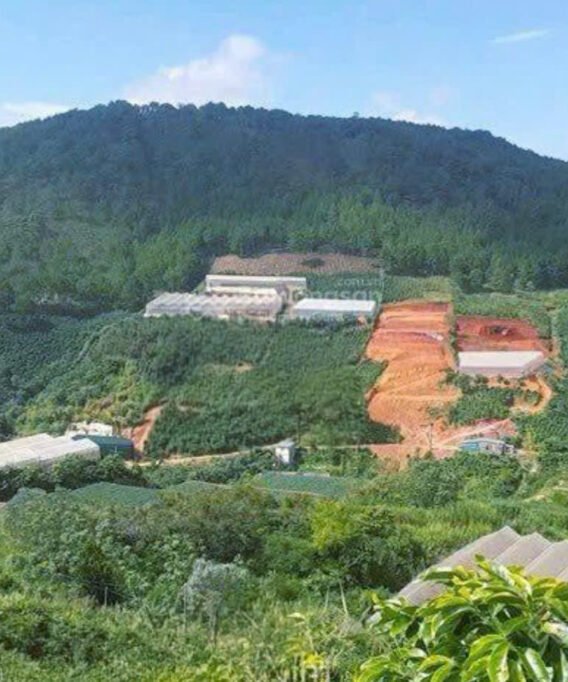 bán đất đường măng lin p7 đà lạt