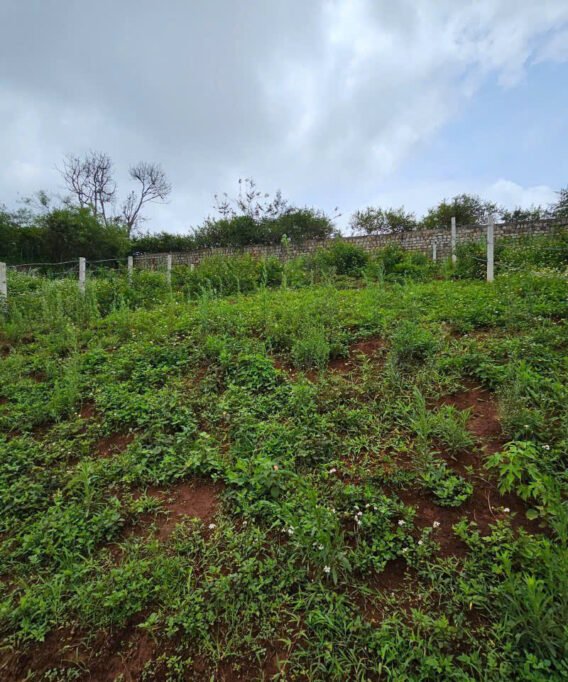 bán đất đường măng lin p7 đà lạt