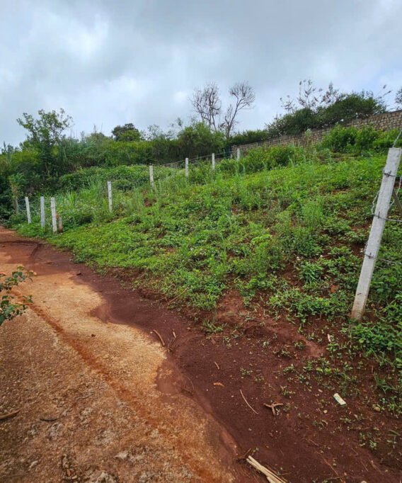 bán đất đường măng lin p7 đà lạt