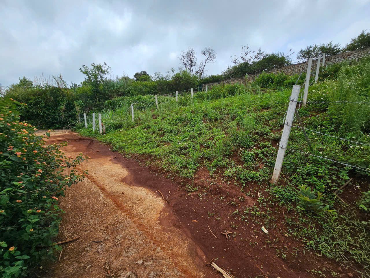 bán đất đường măng lin p7 đà lạt