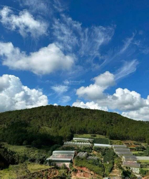 bán đất đường măng lin p7 đà lạt