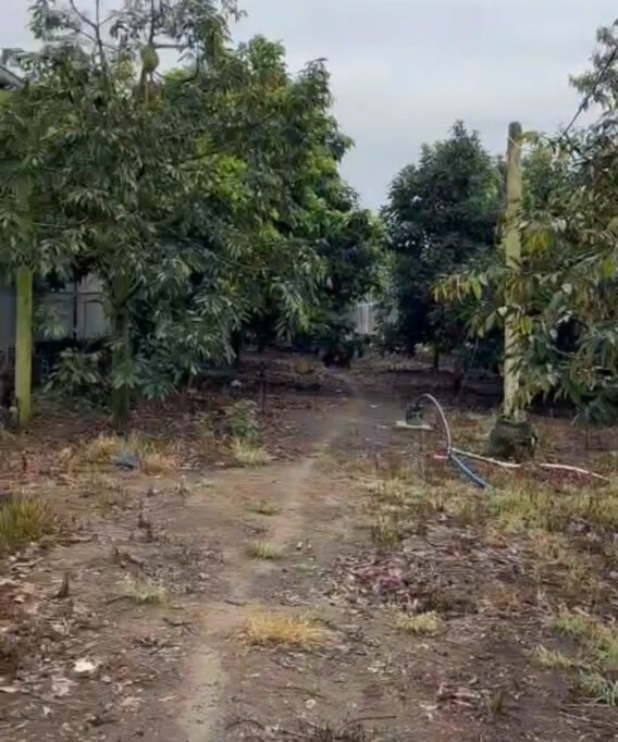 bán nhà mặt tiền quốc lộ 20 di linh lâm đồng