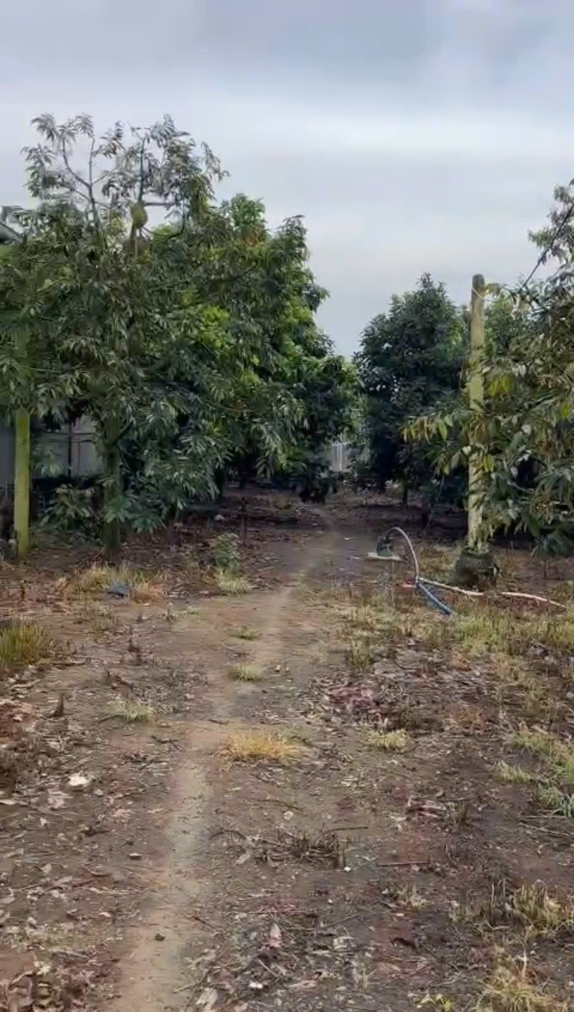 bán nhà mặt tiền quốc lộ 20 di linh lâm đồng