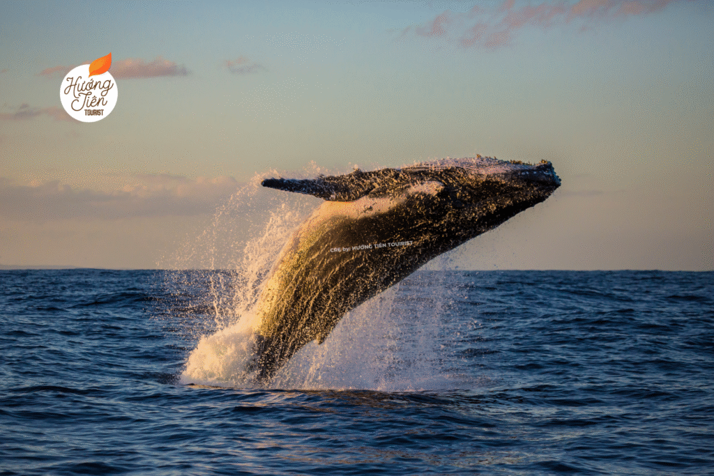 Tour Úc Sydney Melbourne