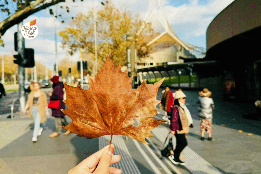 land tour Úc Sydney Melbourne giá rẻ