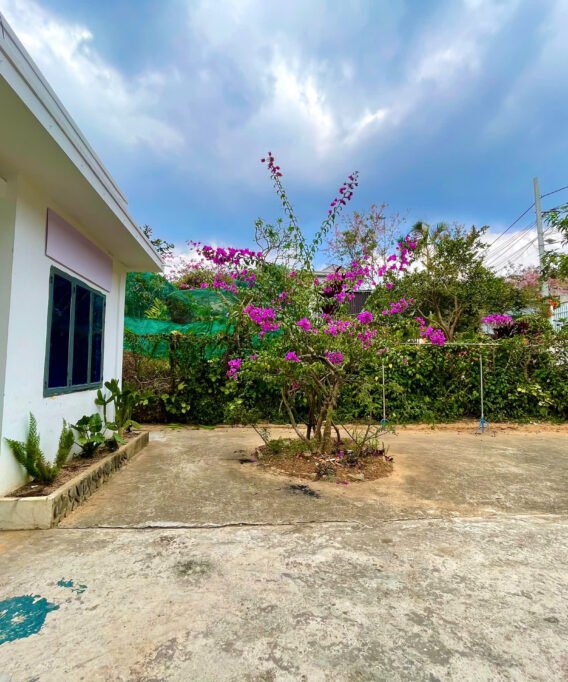 căn homestay nhà dân ở Đà Lạt